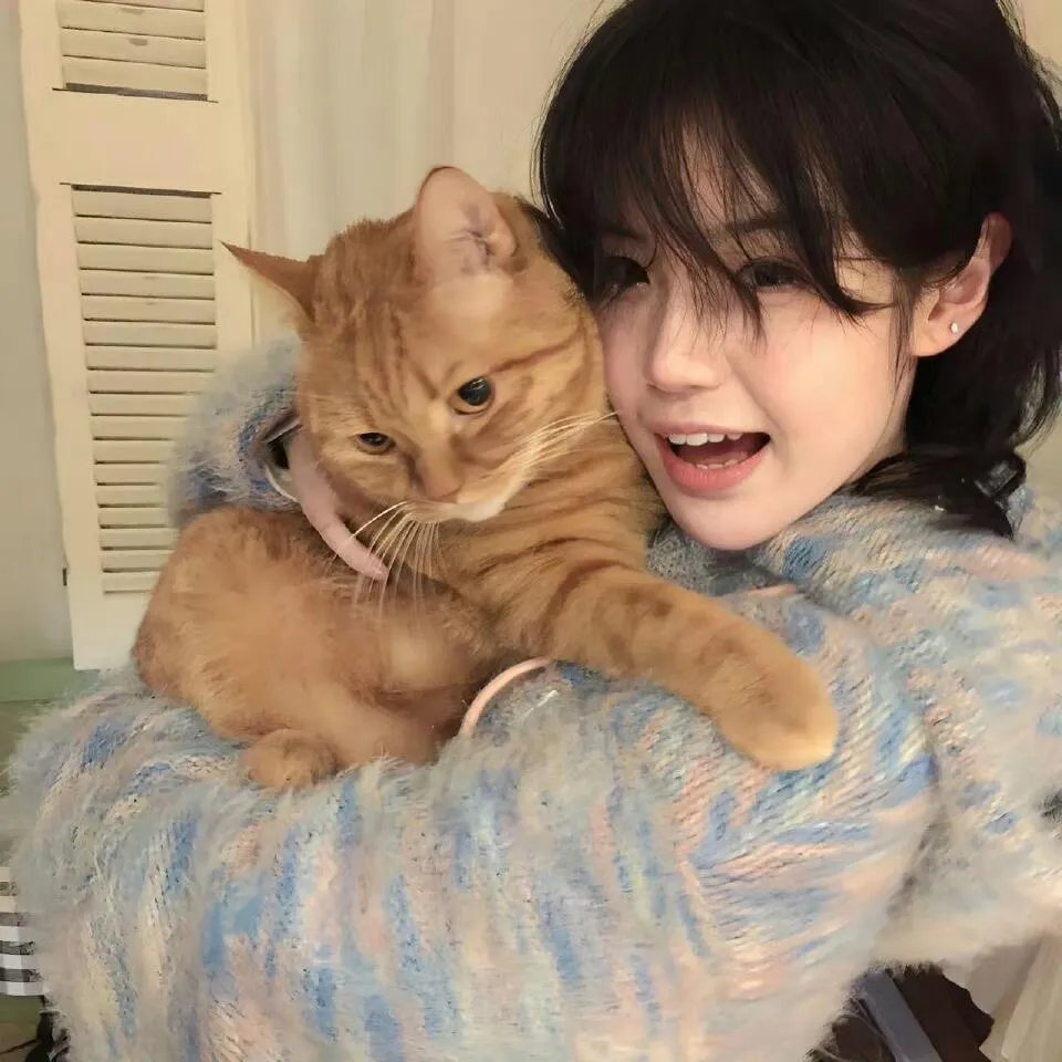 向上猴子
